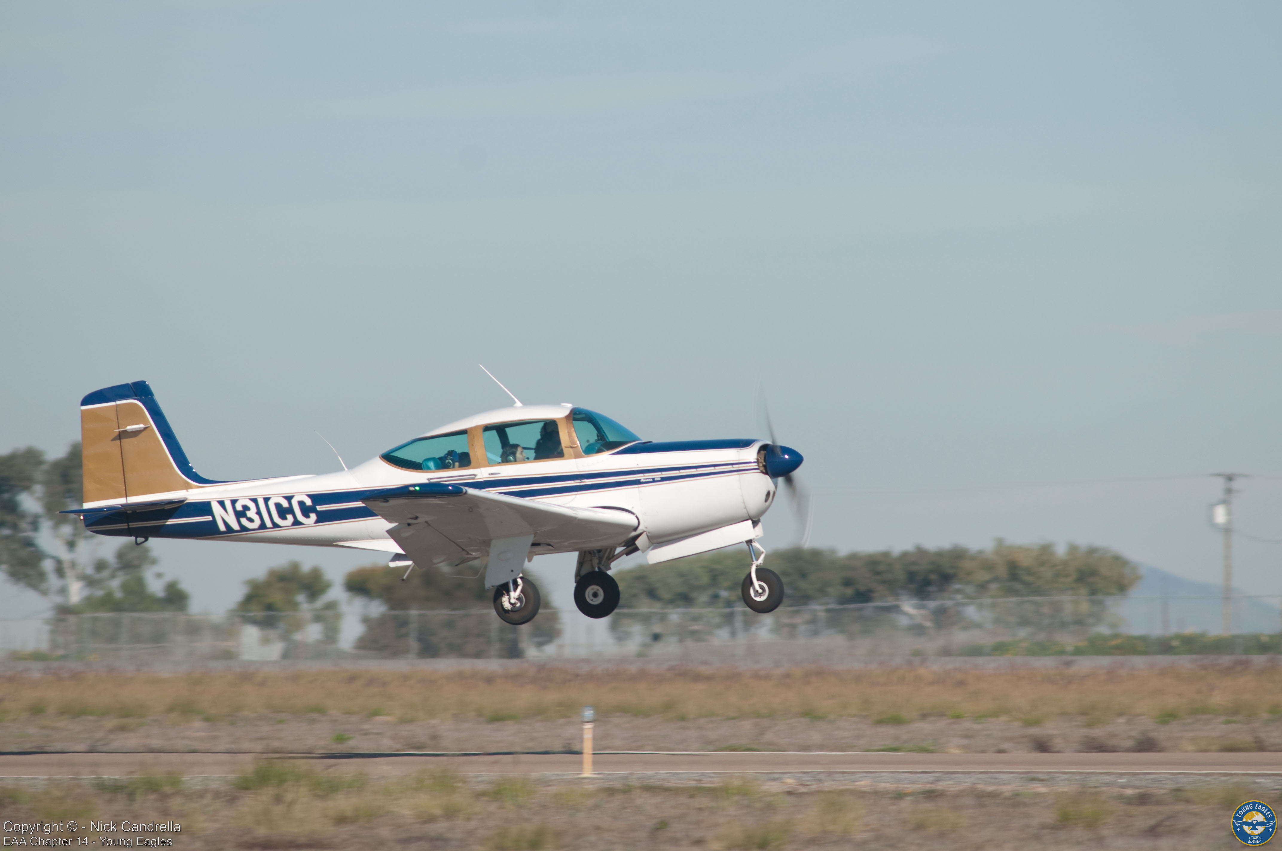 Young Eagles photo 4